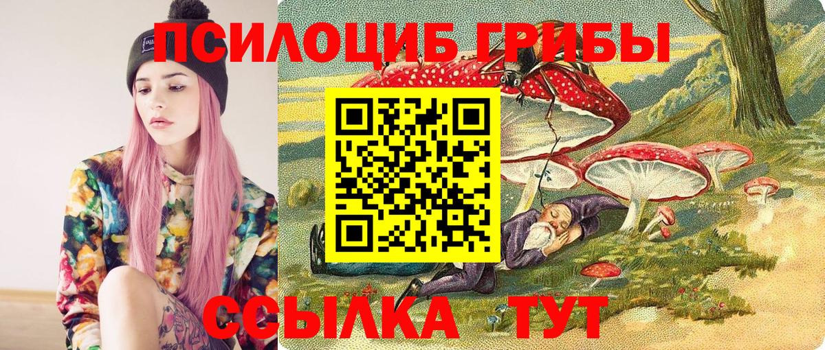 Псилоцибиновые грибы мухоморы  Вход с VPN  Моздок 